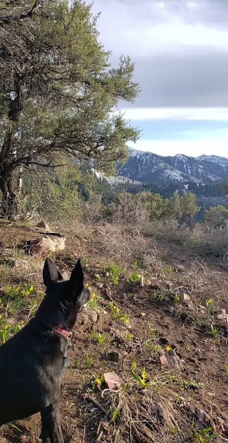Summit Park Trailhead